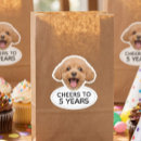 Search for cat and dog stickers Funny