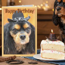 Search for cavalier king charles spaniel birthday cards Pet