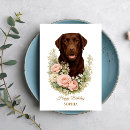 Search for chocolate labrador cards Pet