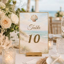 Search for seashells table cards Beach