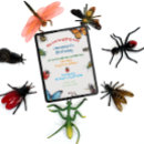 Search for bug cards invites Boy