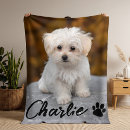 Search for dog memorial blankets Modern simple minimalist design