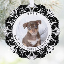 Search for pet first christmas tree decorations Modern minimalist