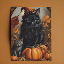 Search for vintage kitten cards Black cat