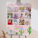 Search for llama party decor Mexican