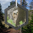 Search for owl christmas tree decorations nature