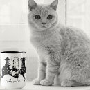 Search for moggy mugs Kitten