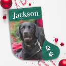 Search for green christmas stockings Dog
