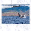 Search for lahaina postcards Island