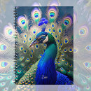 Search for gorgeous notebooks Modern