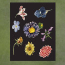 Search for vintage natural history posters Botanical