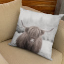 Search for highland cow cushions Modern