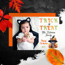 Search for cat halloween cards Trick or treat