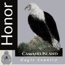Search for eagle hoodies Usa