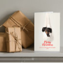 Search for daschund puppy postcards Dog