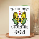 Search for funny sons birthday cards Son in law