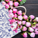 Search for toile gift bags Bridal shower