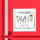 Search for growing magnets Teacher