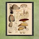 Search for vintage botanical mushrooms posters Antique