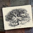Search for vintage country postcards Nature