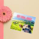 Search for feels photo cards Feel better