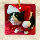 Search for tuxedo cat christmas tree decorations Pets