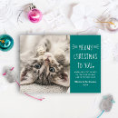 Search for kitty christmas cards Modern