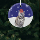 Search for tortoiseshell cat christmas tree decorations Pet
