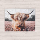 Search for highland cow blankets Scottish