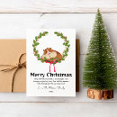 Search for guinea pig christmas cards Friends