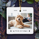 Search for cute christmas tree decorations Two photo