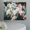 Search for daffodils pictures posters Blossom