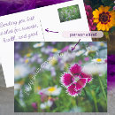 Search for realist cards For her