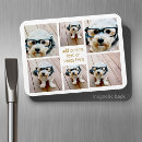 Search for fun magnets Trendy