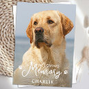 Search for loss of pet dog cards In loving memory