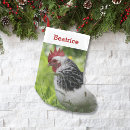Search for chicken christmas stockings Cute