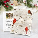 Search for love snow postcards Birds