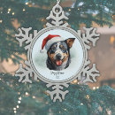 Search for blue heeler christmas tree decorations Australian cattle dog