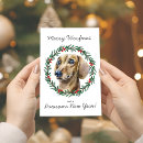 Search for sausage dog christmas cards Modern