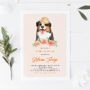 Search for border collies invitations Cute