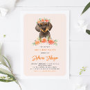 Search for dachshund birthday invitations Watercolor