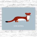 Search for cute ferret posters Pet