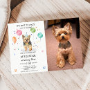 Search for lets pawty Kids birthday party