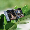 Search for practicing photography Practical