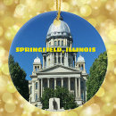 Search for illinois christmas tree decorations Architecture