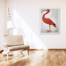 Search for vintage flamingo art Exotic