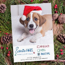 Search for santa paws cards Naughty or nice