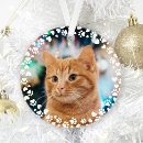 Search for cat in frame christmas tree decorations For pets
