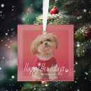 Search for happy christmas tree decorations pet