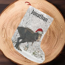 Search for t rex christmas stockings Dinosaur